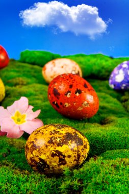 Painted Easter eggs on a green meadow