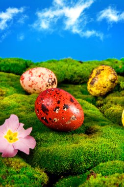 Painted Easter eggs on a green meadow