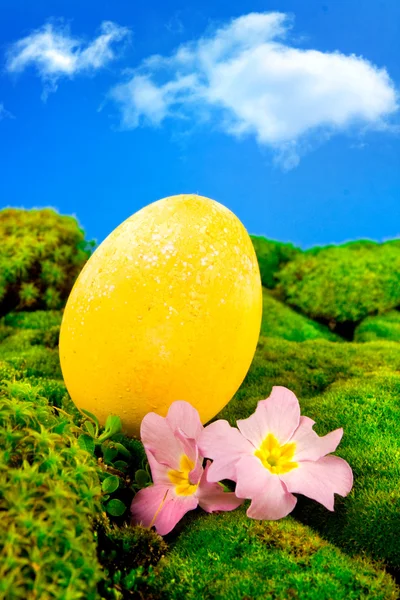 Yeşil çayır üzerinde boyalı Paskalya yortusu yumurta — Stok fotoğraf