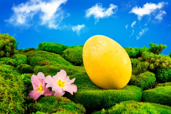 Yeşil çayır üzerinde boyalı Paskalya yortusu yumurta — Stok fotoğraf