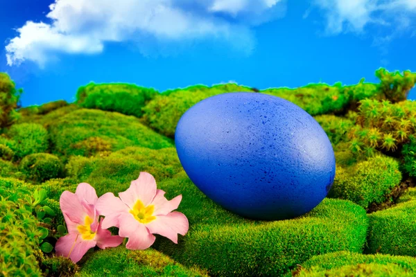 Painted Easter egg on a green meadow — Stock Photo, Image