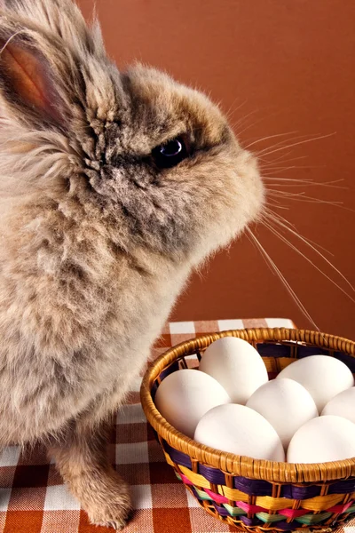 Милый кролик с корзиной для яиц — стоковое фото