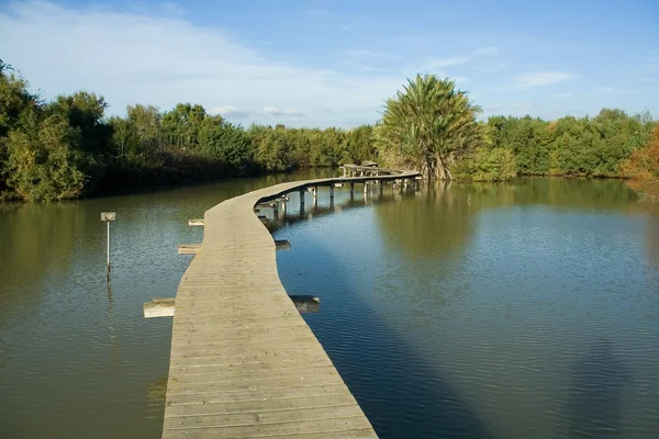 stock image The Lake