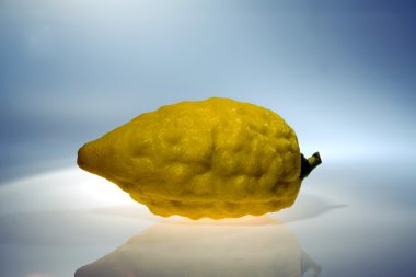 Etrog