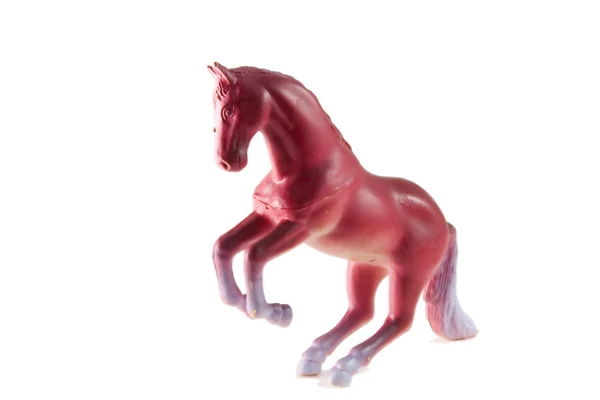 stock image Horse