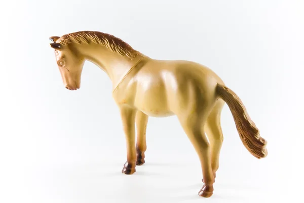 stock image Horse
