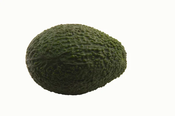 Авокадо — стоковое фото