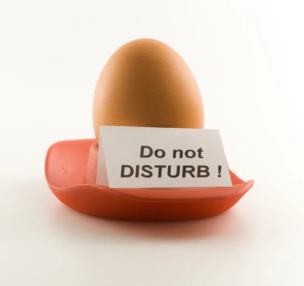 Non disturbare ! — Foto Stock