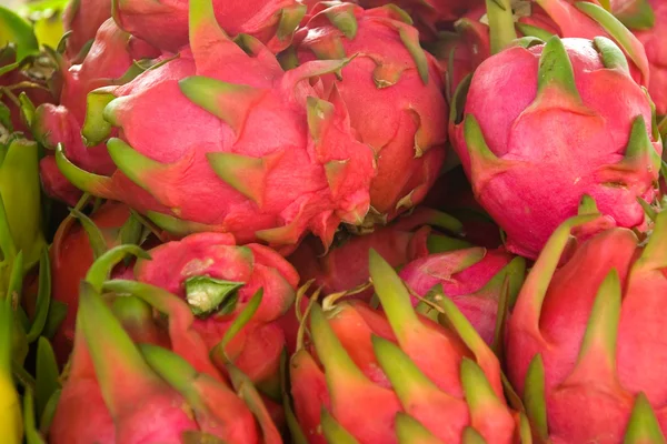 stock image Dragon Fruit