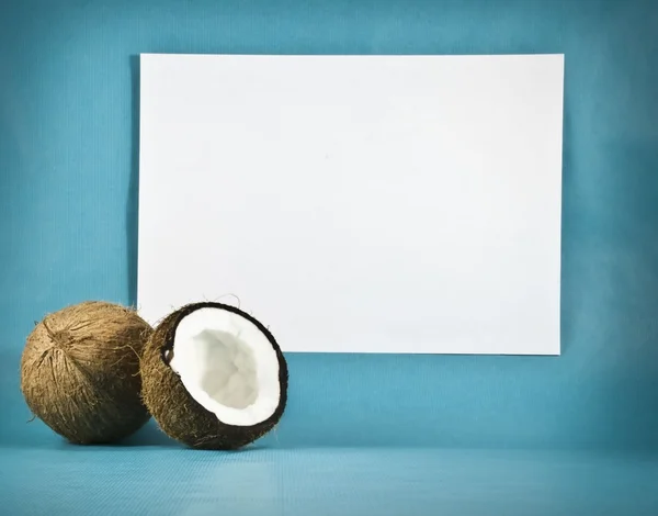 stock image Coconuts on a background of white paper