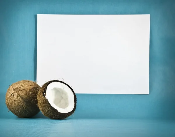 Kókuszdió fehér papír hátterében — Stock Fotó