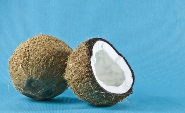파란색 배경에 코코넛 — 스톡 사진