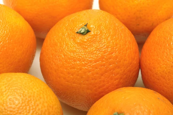 stock image Tangerine