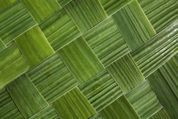 stock image Background from a grass