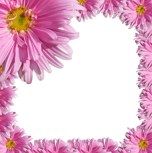 花卉帧 图库照片
