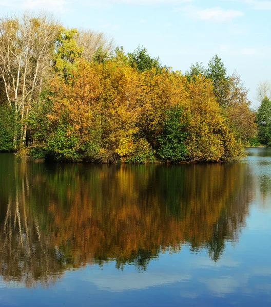 stock image Autumn lake