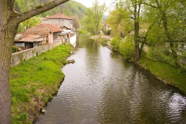 Tryavna