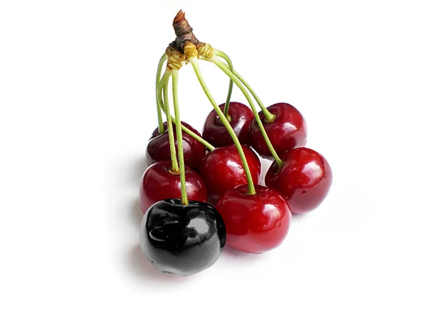 Unik cherry — Stockfoto