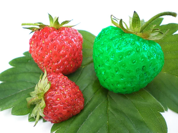 독특한 딸기 — 스톡 사진