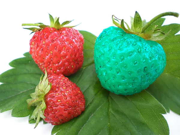 Unique strawberry — Stock Photo, Image