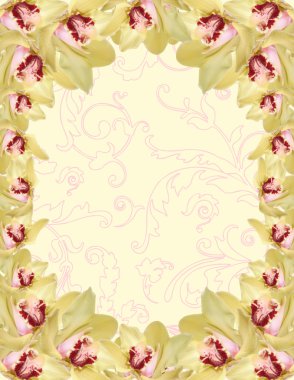 Orchid border clipart