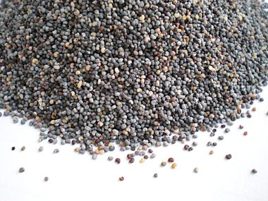 Haşhaş tohumları