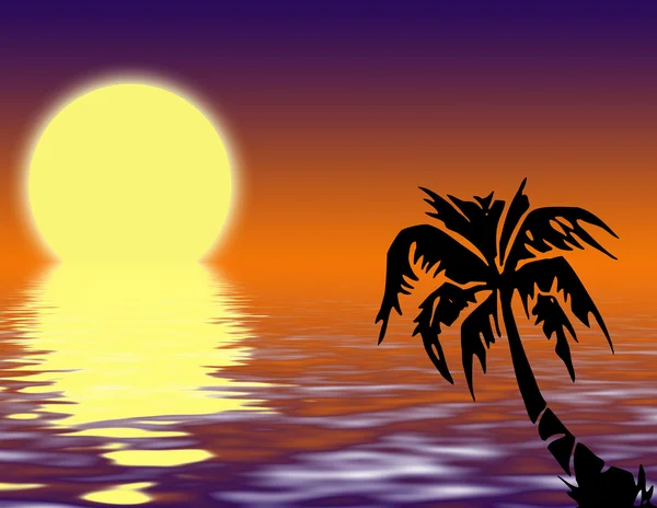 Oceano delle palme e cielo — Foto Stock