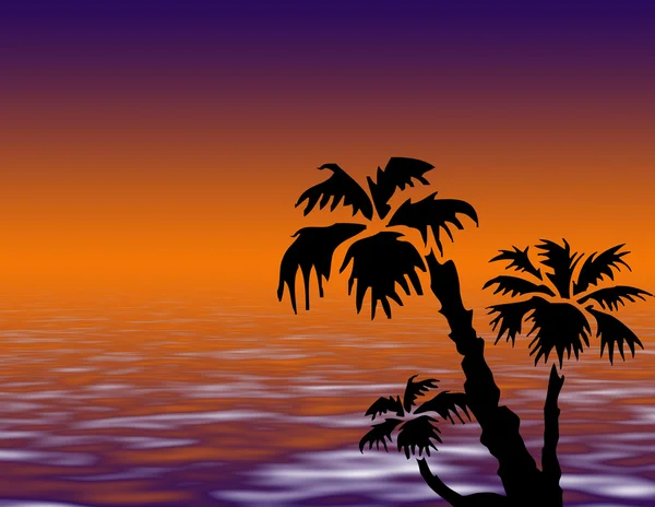 Ocean palmy i niebo — Zdjęcie stockowe
