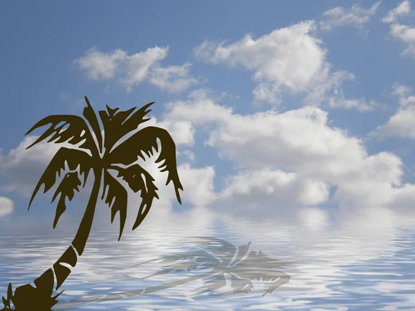 Ocean palmy i niebo — Zdjęcie stockowe