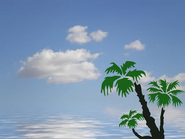 stock image Palm ocean and sky