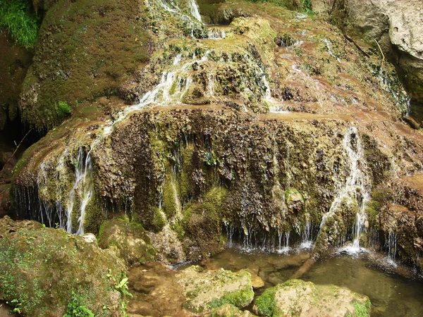 stock image Waterfall