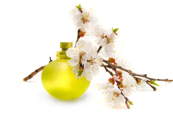 Пляшка парфумів і весняних квітів — стокове фото