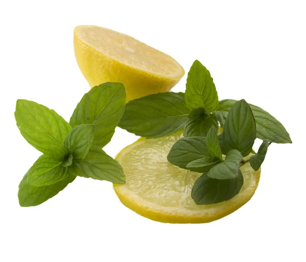 Zitronen mit der Minze — Stockfoto