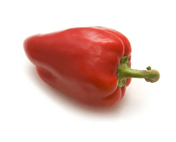 Red paprica — Stock Photo, Image