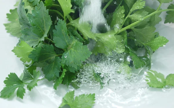 Groene salade vallende water drops — Stockfoto