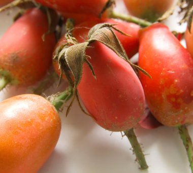 köpek rose HIPS