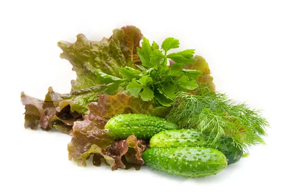 Fräsch sallad ingredienser — Stockfoto