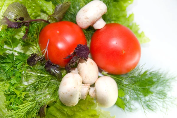 Fresh salad ingredients — Stock Photo, Image