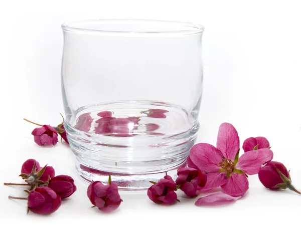 Glass and flowers — Stock Photo, Image