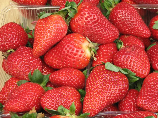 Fresh strawberries to background — Stock Photo, Image