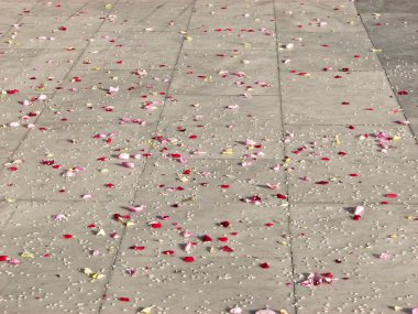 Sparse rose petals on the floor clipart