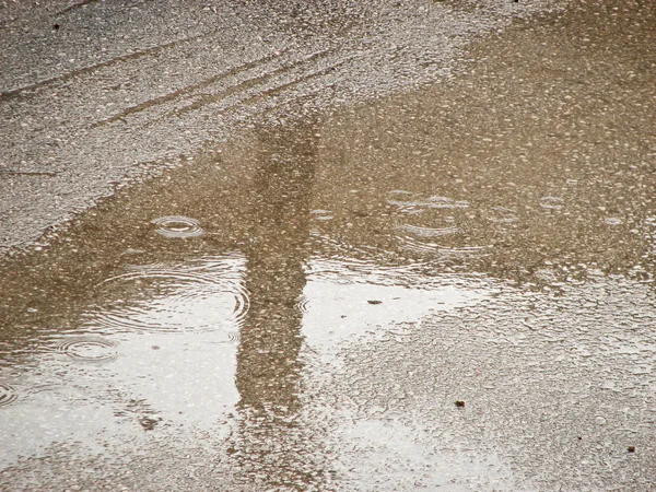 stock image Rain drops in the water