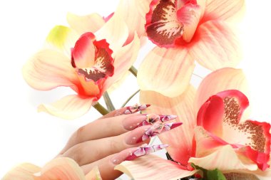 Manicured acrylic nails clipart