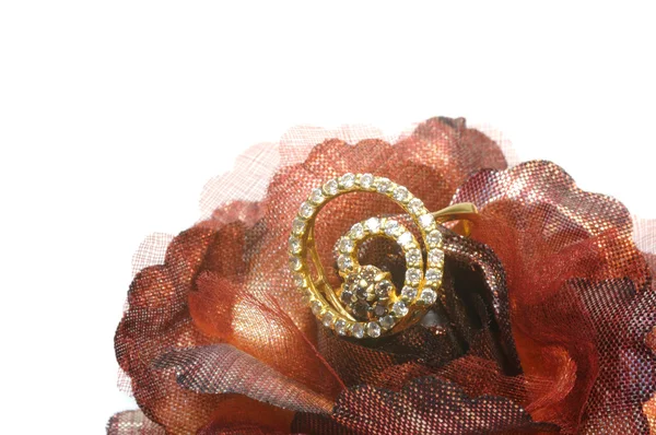 Kwiat z pierścieniem złotym — Zdjęcie stockowe
