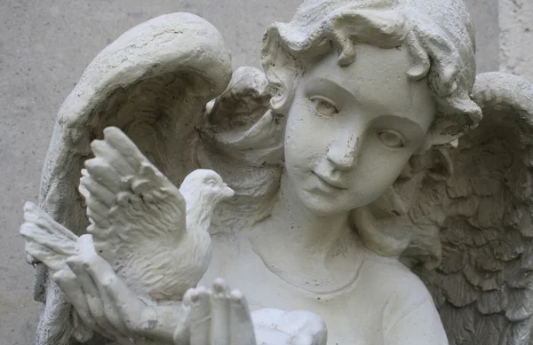 천사 조각품 — 스톡 사진