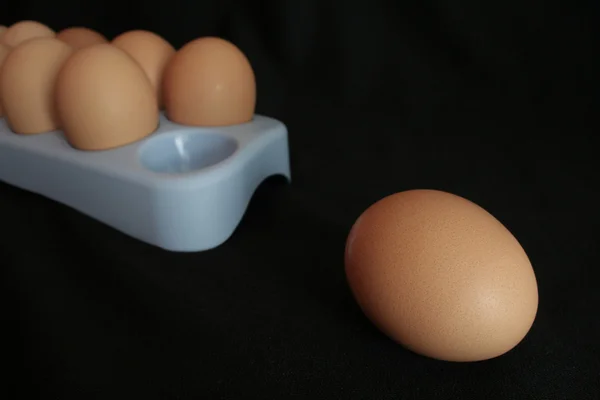 랙에서 한 계란 — 스톡 사진