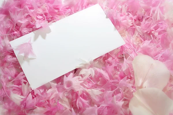 stock image Petals invitation