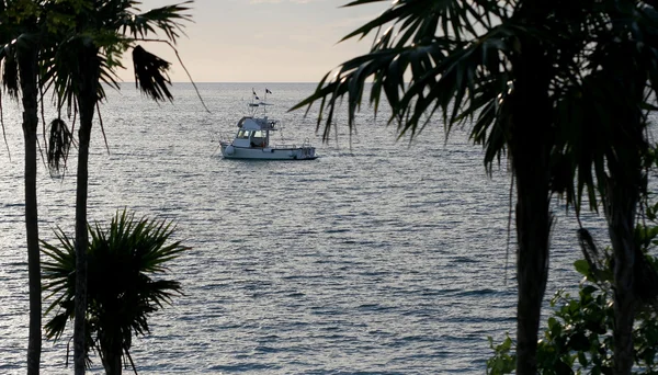 Tekne ve palmiye ağaçları — Stok fotoğraf