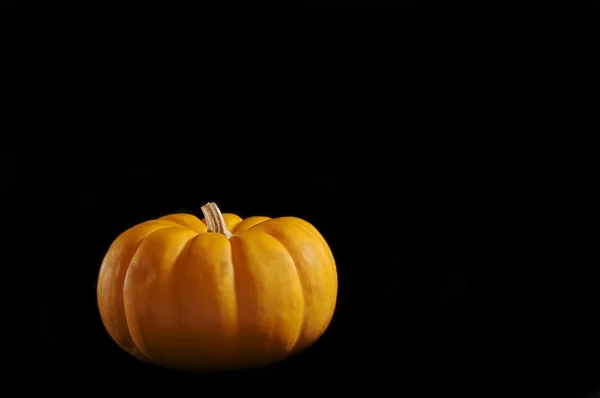 stock image Pumpkin