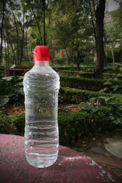 Bottiglia d'acqua — Foto Stock